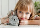 Six of the Best Small Pets for Your Child