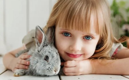 Six of the Best Small Pets for Your Child