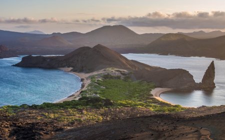 6 Best Galapagos Cruises For Every Kind of Traveler (2023)