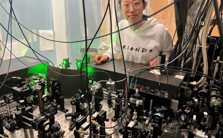 Uncovering universal physics in the dynamics of a quantum system