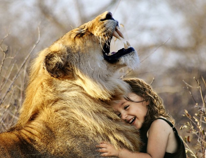 Unveiling the Profound Connection: Exploring the Emotional World of Animals