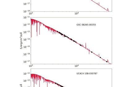 German astronomers discover three new hydrogen-deficient pre-white dwarfs