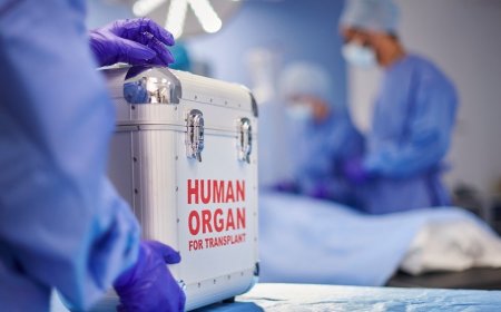 Patient dies from rabies after organ transplant from infected donor
