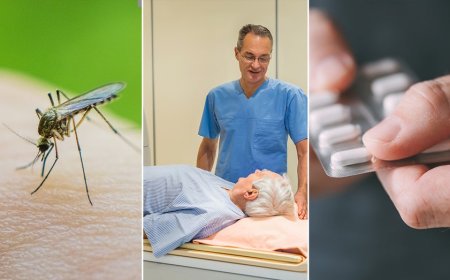 Dengue fever and prostate cancer risk, plus Alzheimer's prevention