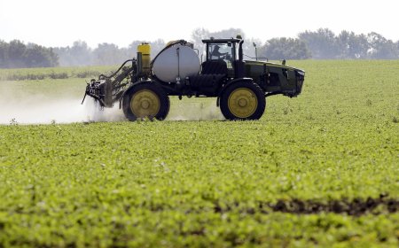 Pesticide in food that's 'making America sick again' may get free pass