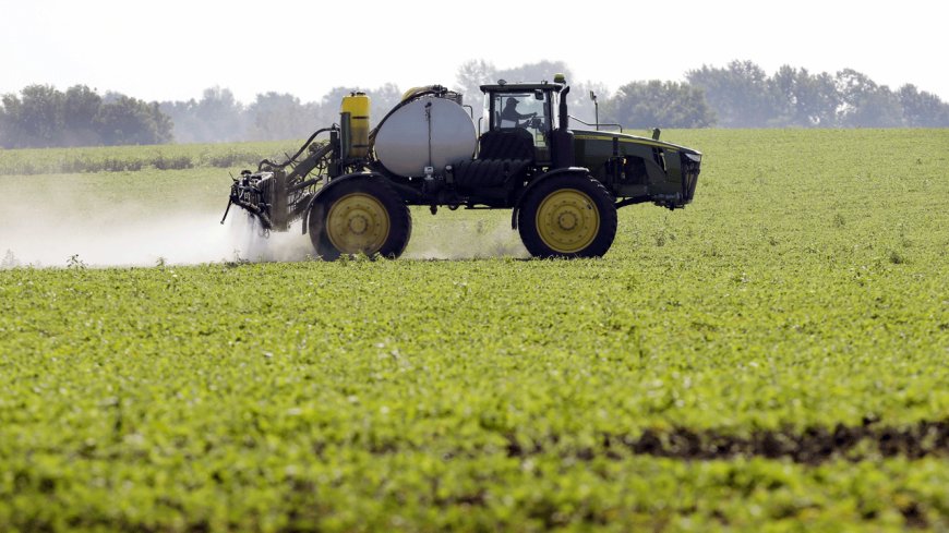 Pesticide in food that's 'making America sick again' may get free pass