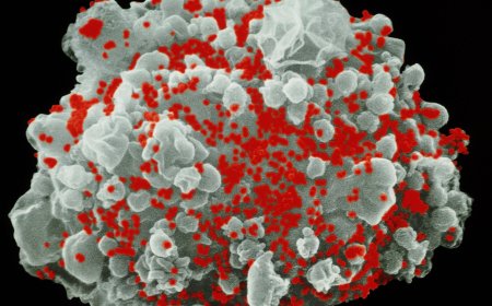 Used in Covid Shots, mRNA May Help Rid the Body of H.I.V.