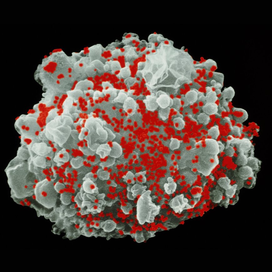 Used in Covid Shots, mRNA May Help Rid the Body of H.I.V.